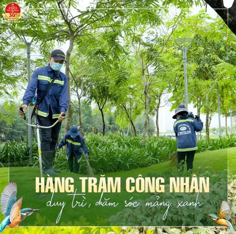 sinh thai tai hong hac city 4