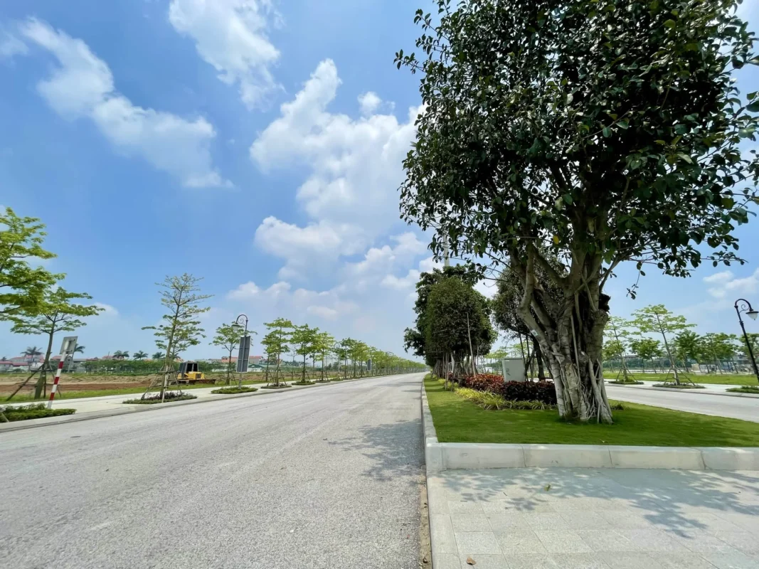 Hạ tầng đã hoàn chỉnh, vỉa hè, cây xanh đã hoàn thiện, đang ép cọc xây dựng 323 căn đầu tiên