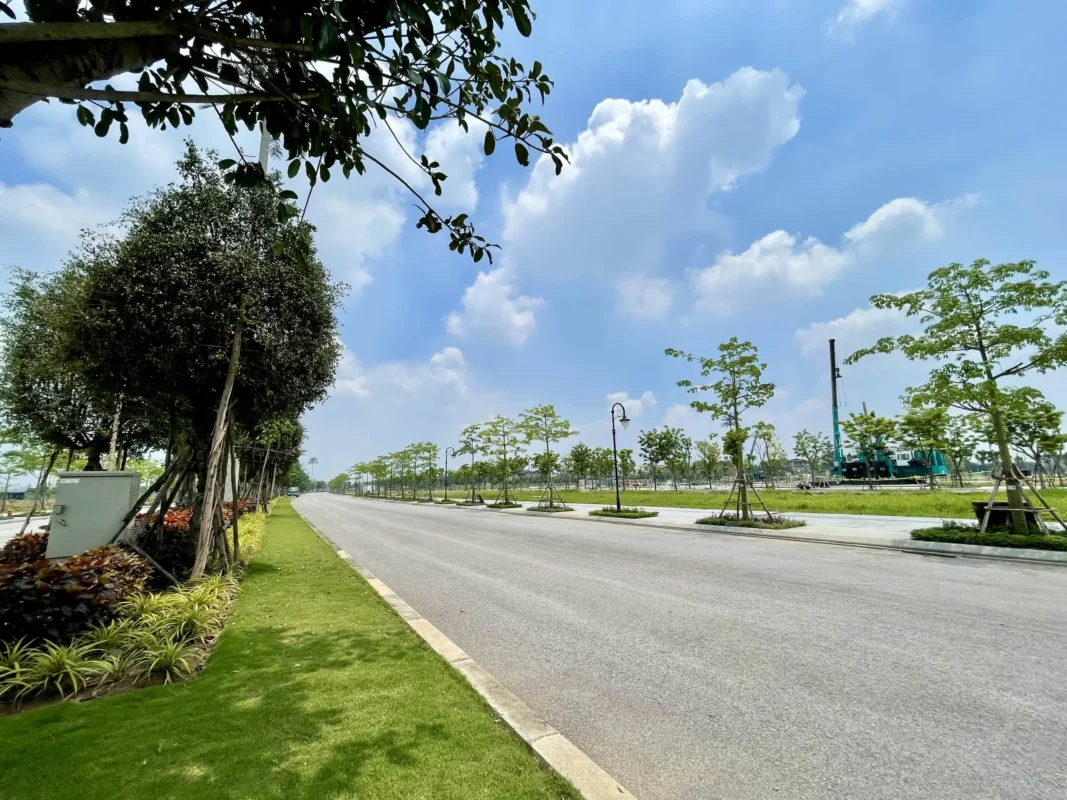 Hạ tầng đã hoàn chỉnh, vỉa hè, cây xanh đã hoàn thiện, đang ép cọc xây dựng 323 căn đầu tiên