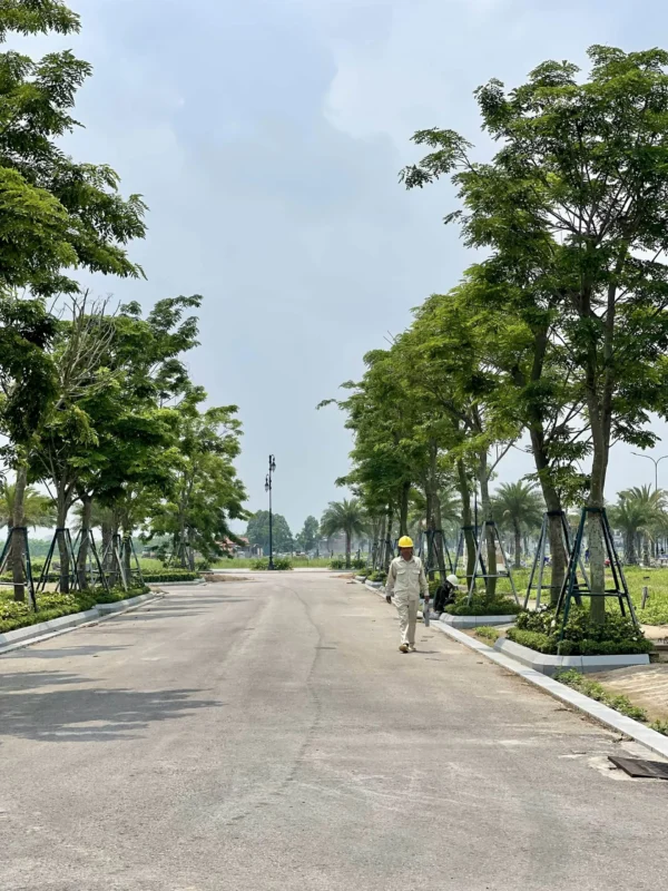 Hệ thống công viên xanh mướt nội khu và công viên trung tâm rộng lớn